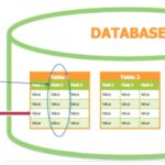 Pengertian dan Manfaat Field dalam Database: Panduan Lengkap dengan Produk Terbaik untuk Anda